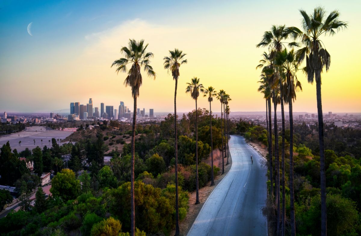 Winding palm-lined road leading toward a city skyline at sunset with a faint crescent moon.